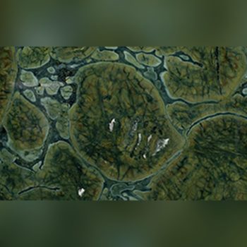 Кварцит Рио Верде